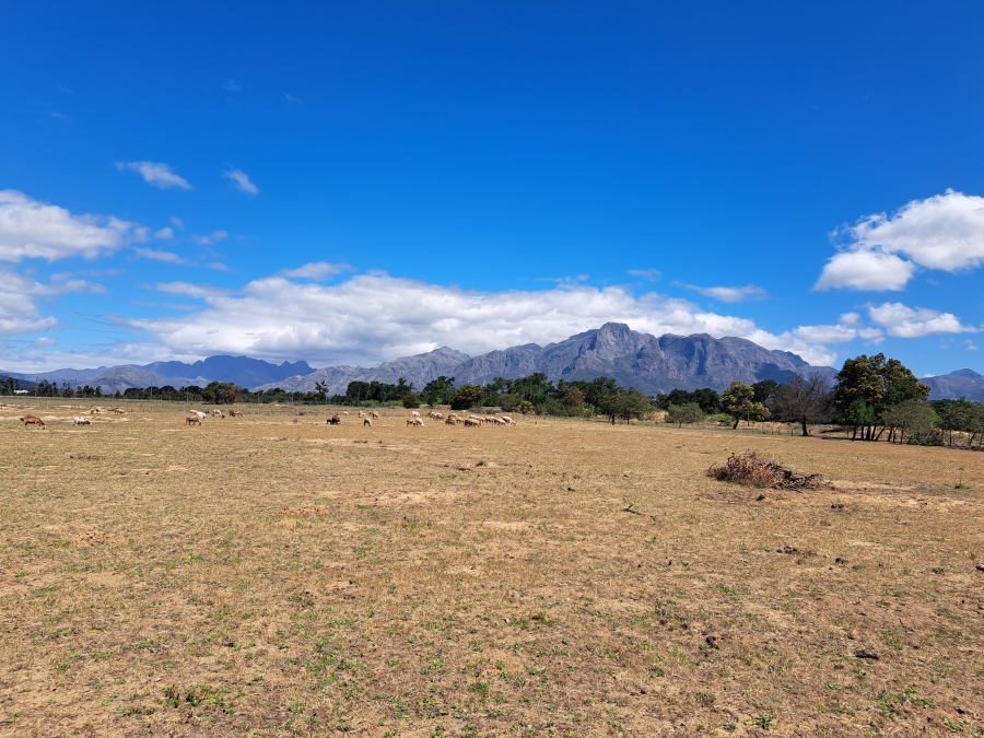 4 Bedroom Property for Sale in Paarl Rural Western Cape